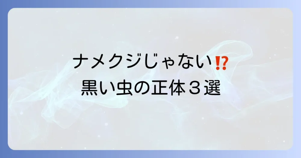家に出る黒いナメクジみたいな虫の正体は？考えられる候補3選