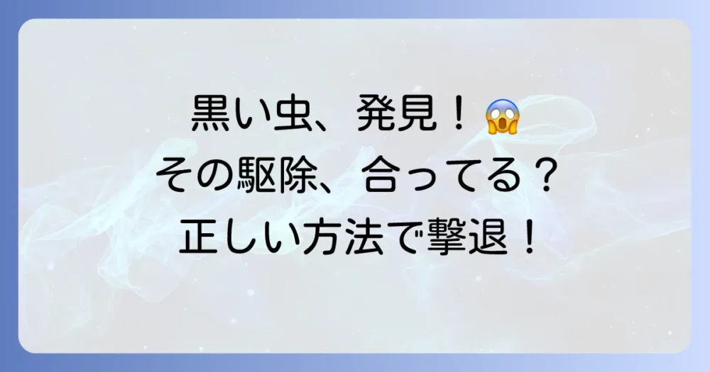 今すぐできる！家の中の黒い虫の正しい駆除方法