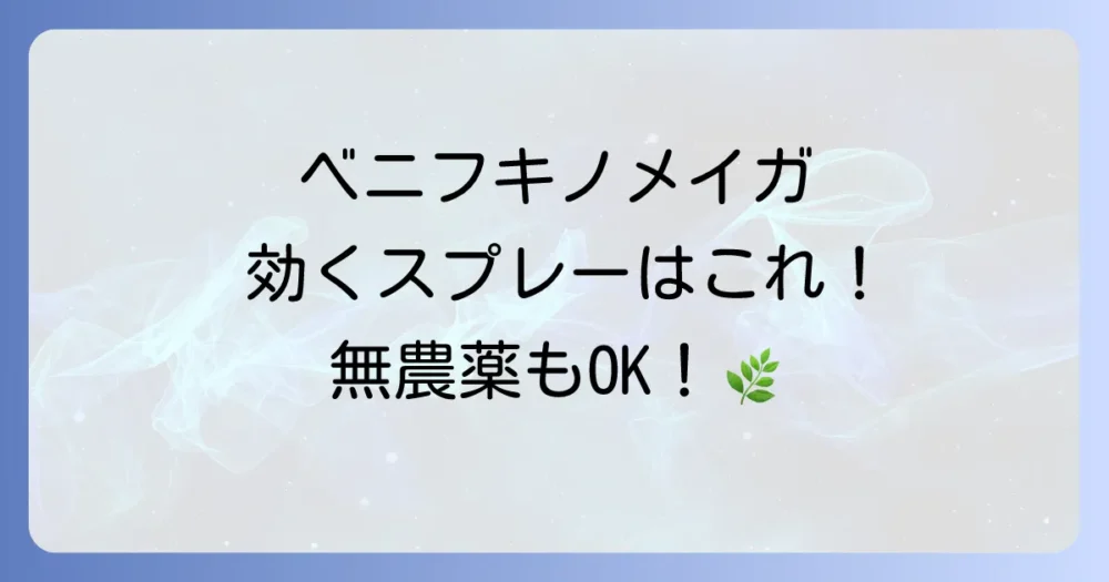 ベニフキノメイガに効くスプレーはこれ！おすすめ農薬と無農薬での駆除・予防法を徹底解説