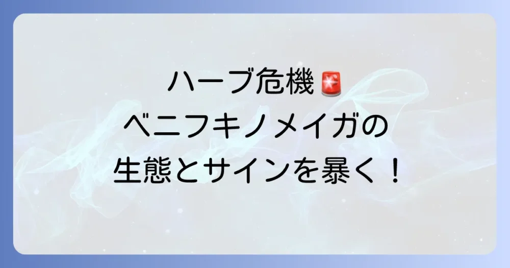 ベニフキノメイガとは?まずは敵を知ろう