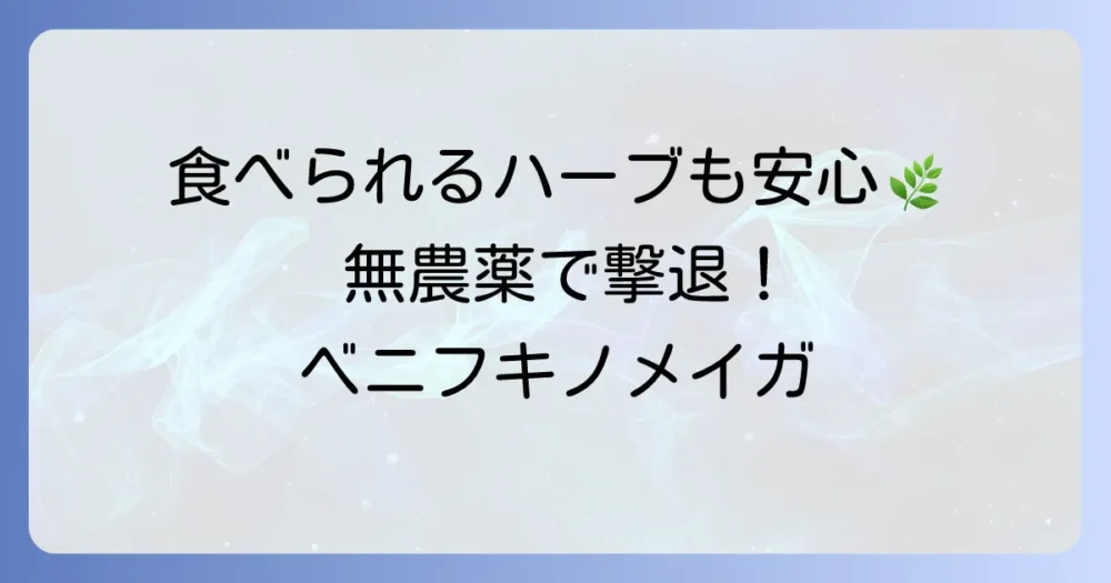 【食品成分・無農薬】安心して使えるベニフキノメイガ対策スプレー