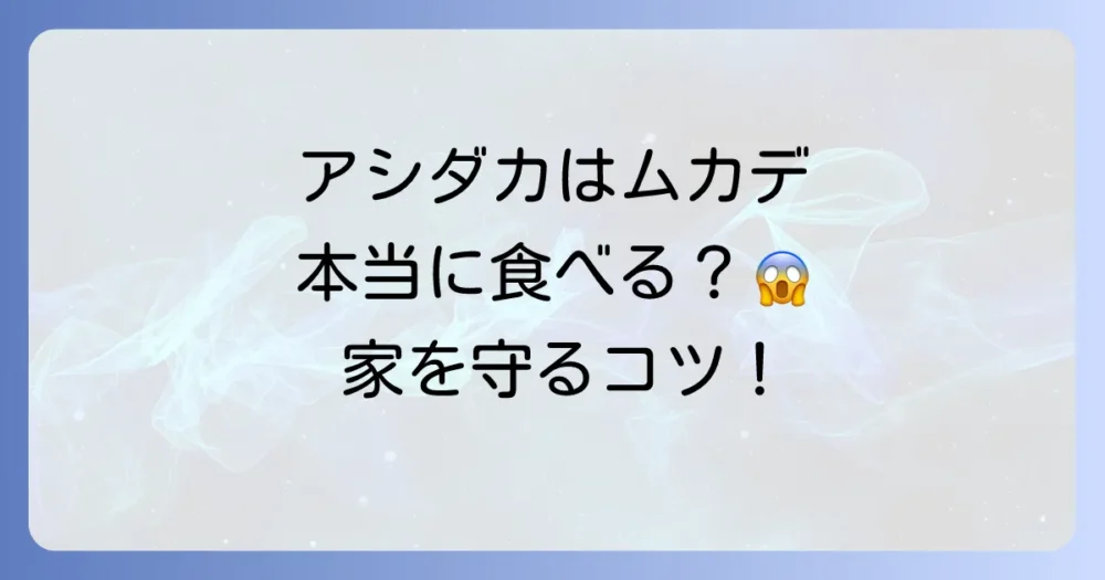 アシダカグモはムカデを食べる？益虫と害虫の頂上決戦！どっちが強いか、特徴と正しい対策を徹底解説
