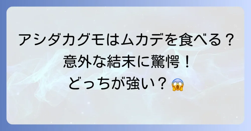 【結論】アシダカグモはムカデを食べる?気になる両者の関係