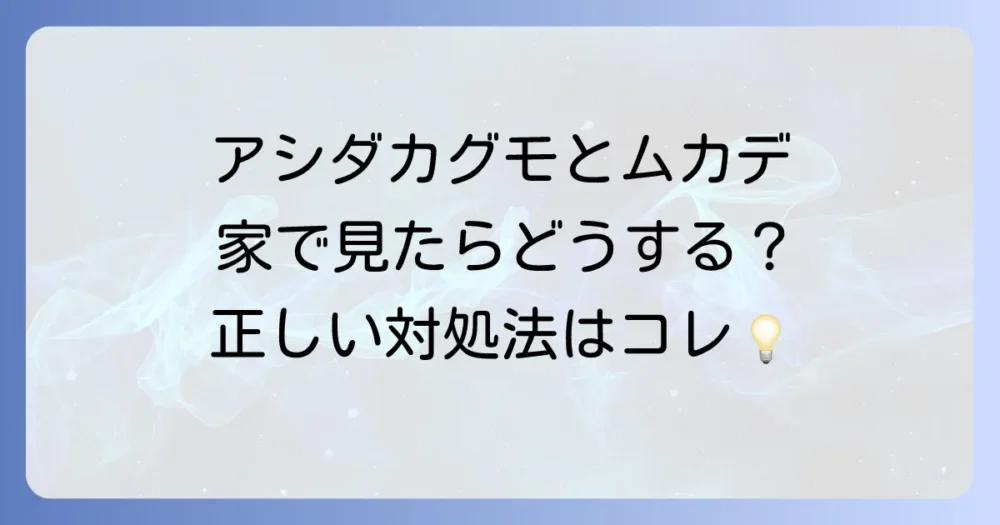 アシダカグモとムカデ、家で見つけたらどうする?正しい対処法