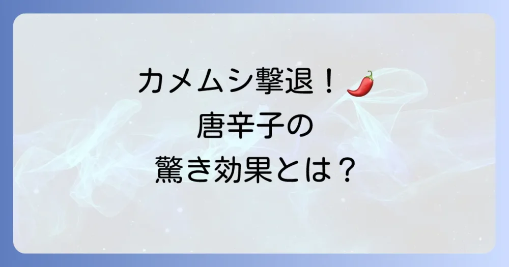 唐辛子はカメムシ対策の救世主？その驚くべき効果とは