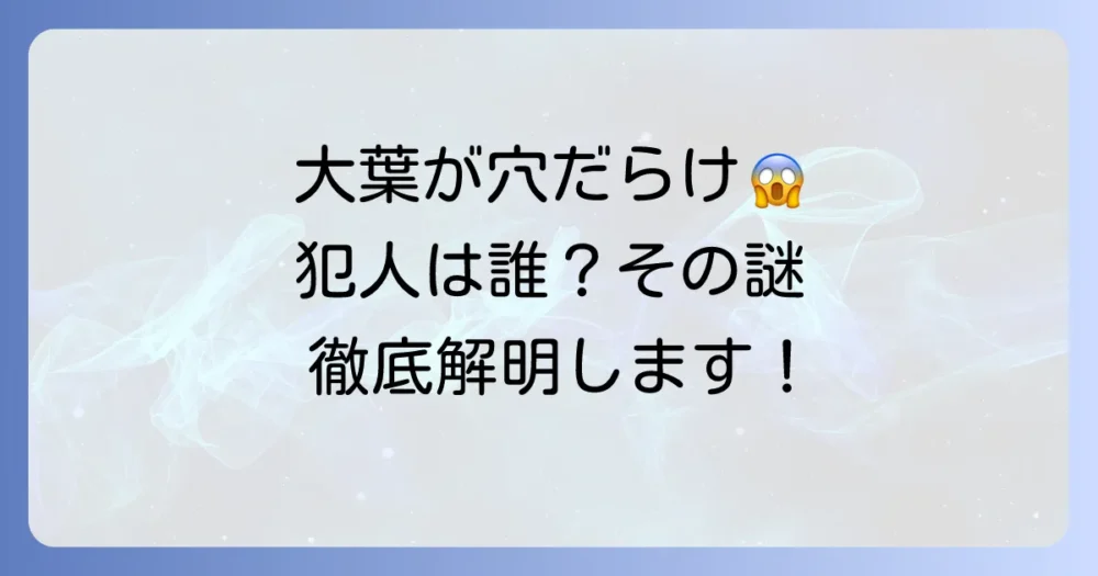 大葉が虫食いだらけ…その原因は?
