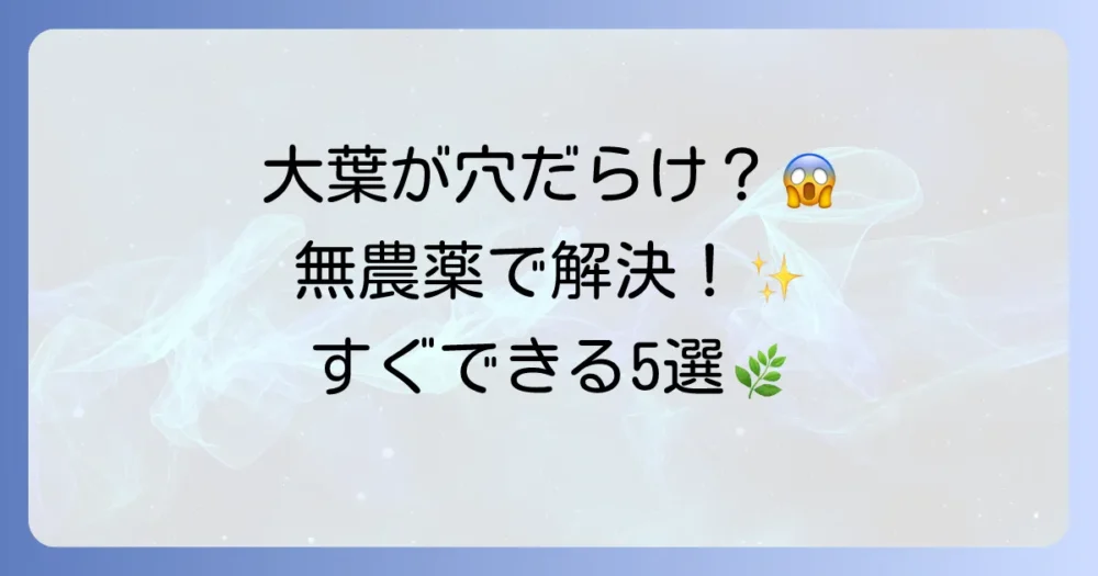 すぐにできる!大葉の虫食い対策5選【無農薬】
