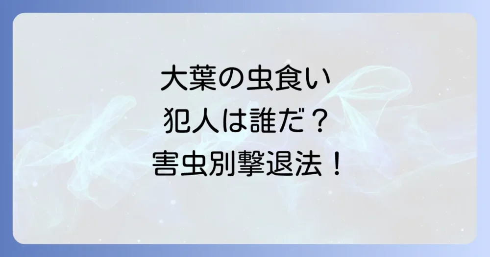 【害虫別】大葉の虫食い対策|特徴と効果的な撃退法