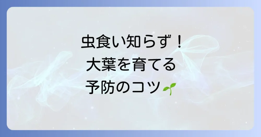虫を寄せ付けない!大葉の健康な育て方【予防が肝心】