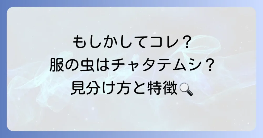 もしかしてこれ？服に付くチャタテムシの特徴と見分け方