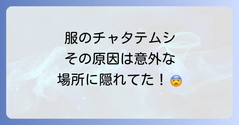 なぜ？服にチャタテムシが大量発生する主な原因