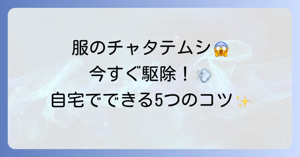 【即実践】服に付いたチャタテムシの正しい駆除方法5選