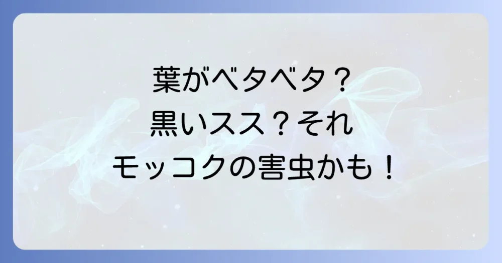 モッコクに発生しやすい主要な害虫とその見分け方