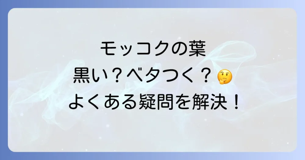 モッコクの害虫に関するよくある質問