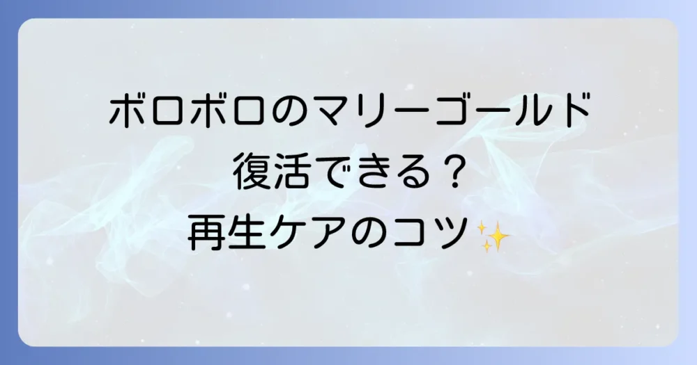 被害にあったマリーゴールドは復活する?再生のための手入れ方法