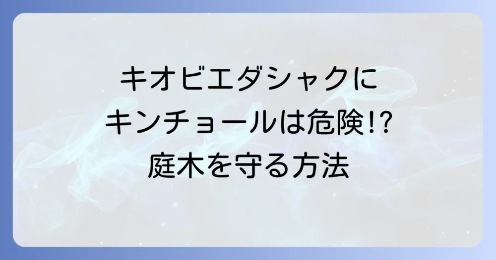 【結論】キオビエダシャクにキンチョールは使える？