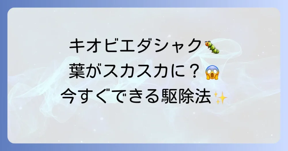 【実践】キオビエダシャクの正しい駆除方法