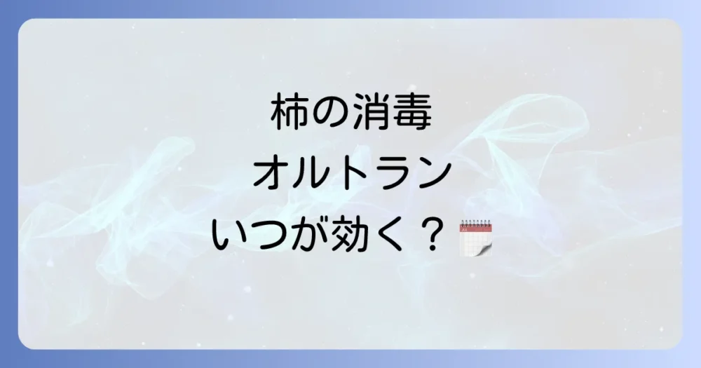 【最重要】柿の消毒！オルトランを使う最適な時期と年間スケジュール