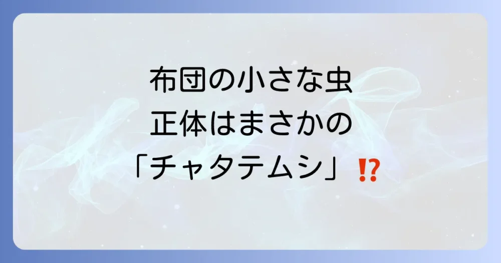 布団にいる小さい虫の正体はチャタテムシ?
