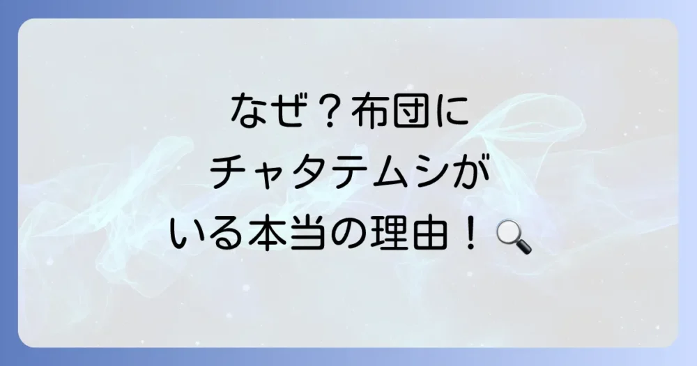 なぜ布団にチャタテムシが?知っておきたい発生原因