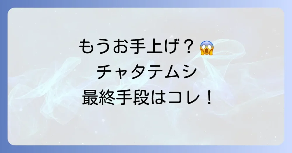 それでも解決しない…大量発生した場合の対処法