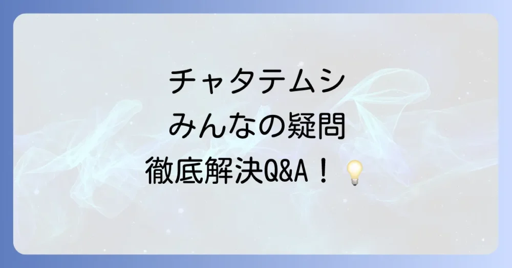 【Q&A】布団のチャタテムシに関するよくある質問