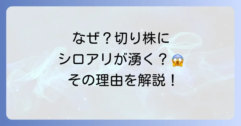 なぜ切り株にシロアリが発生するの？その原因を解説