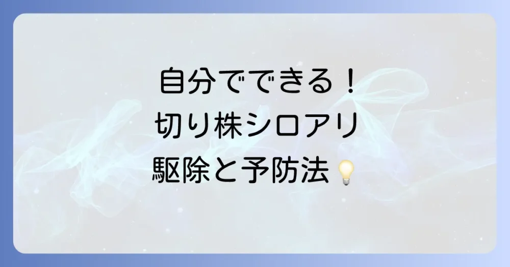 自分でできる！切り株のシロアリ対策【駆除・予防】