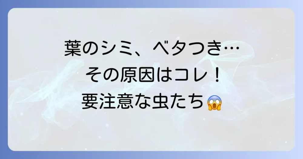 【要注意】ヒイラギ・モクセイに発生しやすい代表的な害虫