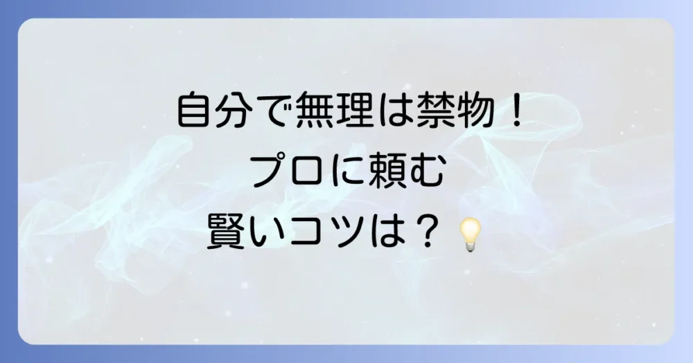 自分での駆除は難しい？専門業者に依頼する際のポイント
