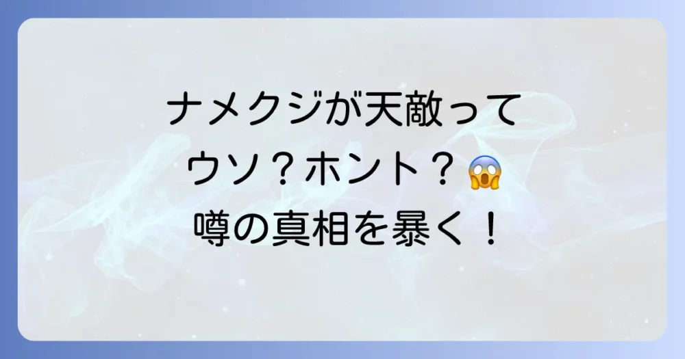 「ムカデの天敵はナメクジ」という噂の真相