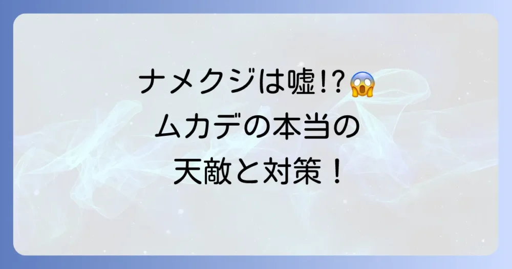 天敵に頼らない!今日からできるムカデ対策