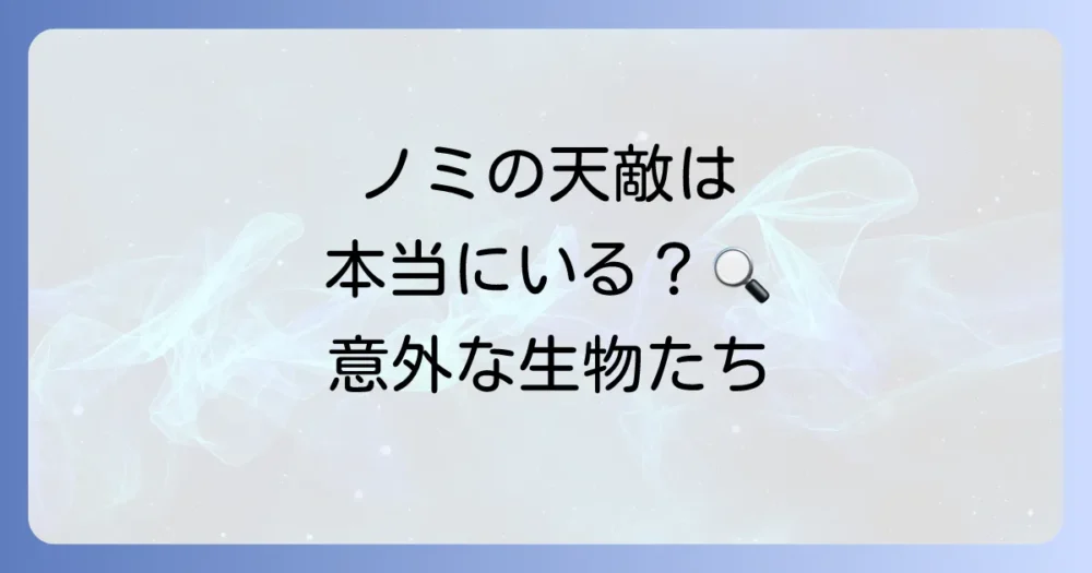 ノミの天敵は本当にいる？意外な生物たち