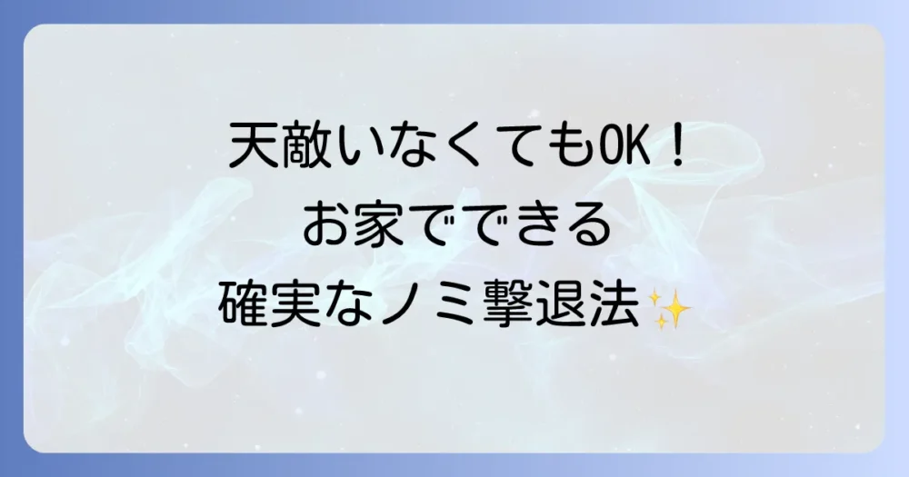 天敵に頼らない！今すぐできる効果的なノミ対策【室内編】