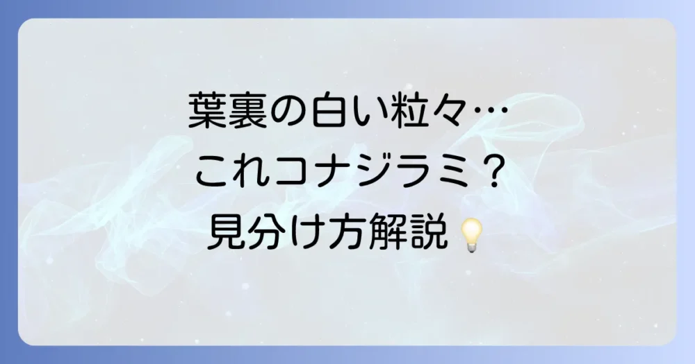 これってコナジラミの卵？見分け方と生態