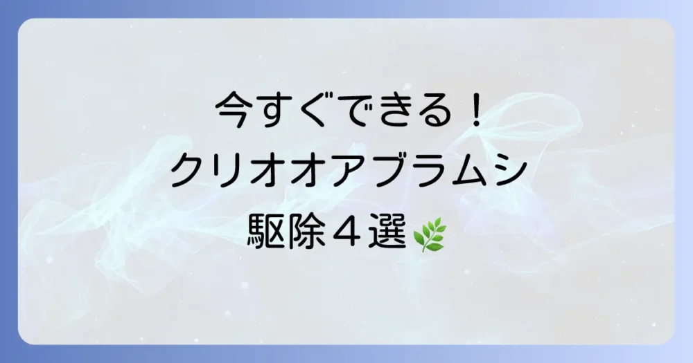 今すぐできる！クリオオアブラムシの駆除方法【4選】