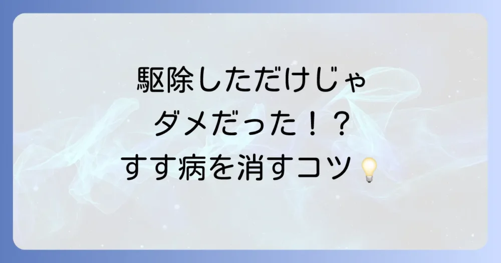 駆除後の重要タスク！すす病の対処法