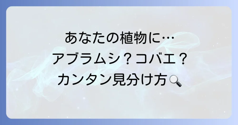 その虫、アブラムシの成虫?それともコバエ?見分け方を徹底解説!