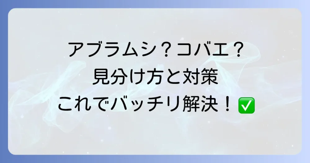 まとめ