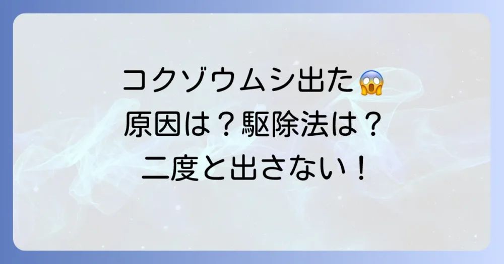 コクゾウムシが家の中に！原因は？どこから？駆除方法と二度と発生させない予防策を徹底解説