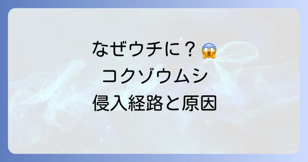 なぜ家の中に？コクゾウムシの発生原因と侵入経路