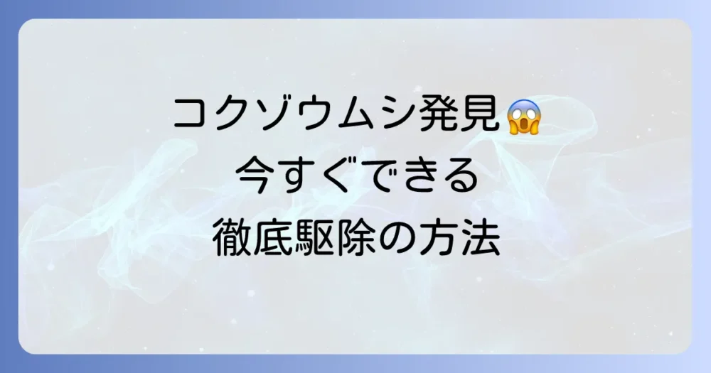 【状況別】家の中のコクゾウムシ完全駆除マニュアル