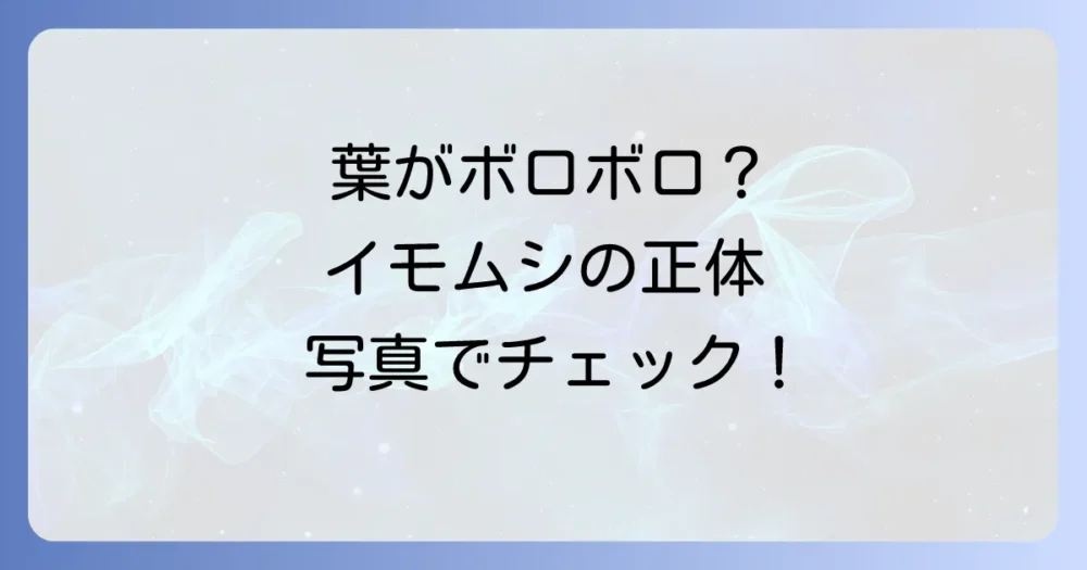 まずは敵を知ろう!きゅうりを襲うイモムシの正体と被害