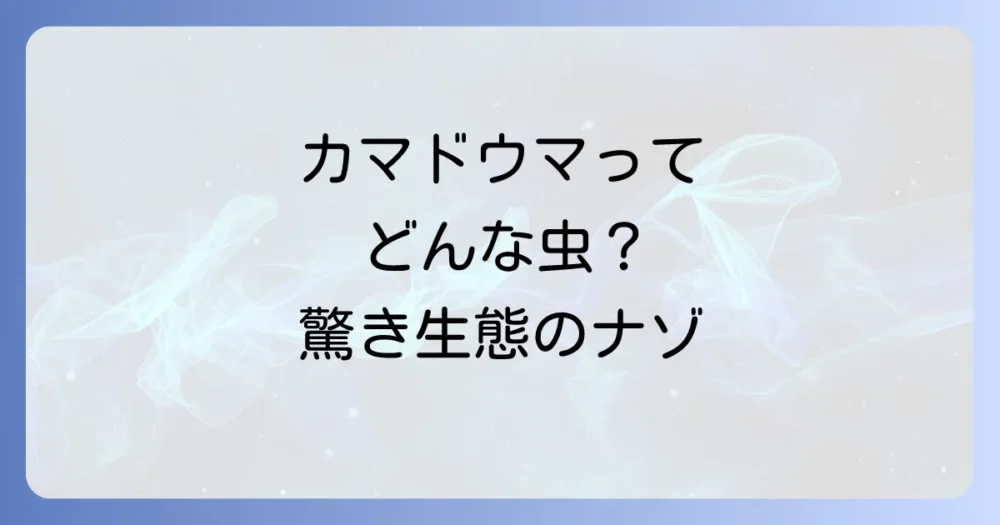 カマドウマってどんな虫?その驚きの生態に迫る