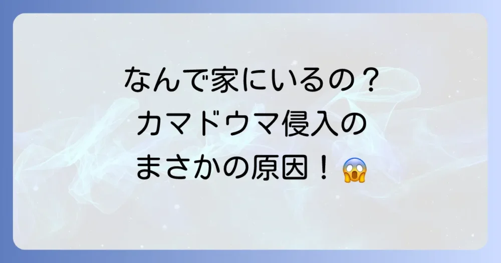 なぜ家に?カマドウマの侵入経路と原因