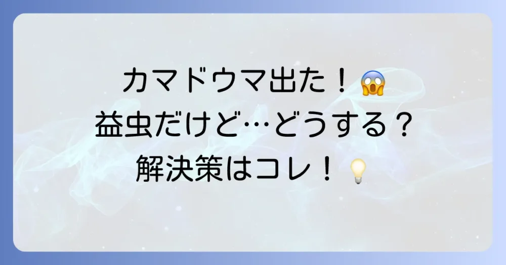 家でカマドウマに遭遇!益虫だけどどうする?正しい対処法