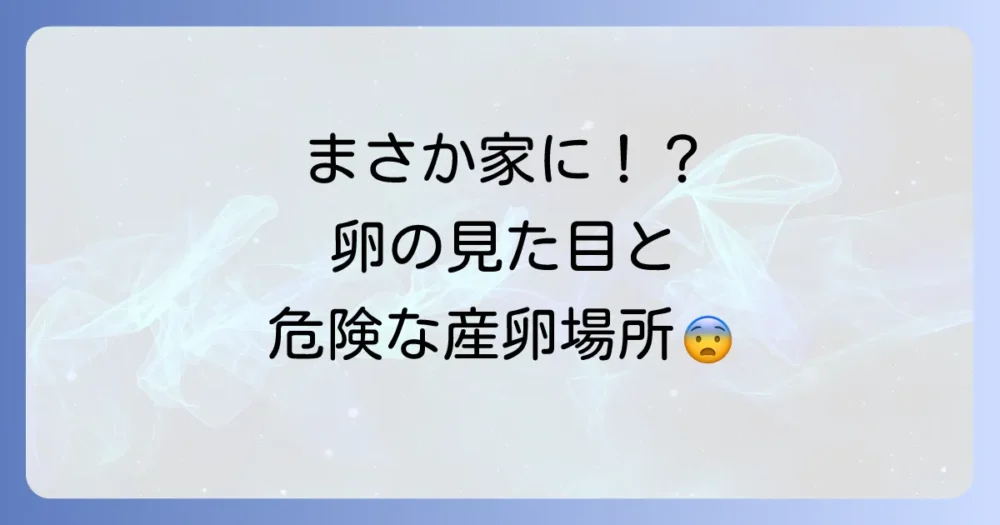 ヒメカツオブシムシの卵はどんな見た目？特徴と産卵場所を解説