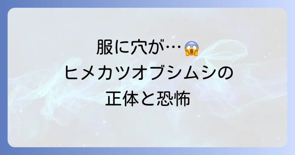 そもそもヒメカツオブシムシとは？その生態と被害の恐怖