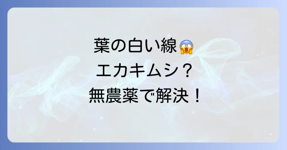 【無農薬で解決！】ハモグリバエ対策の決定版！家庭菜園を守る予防と駆除の方法を徹底解説