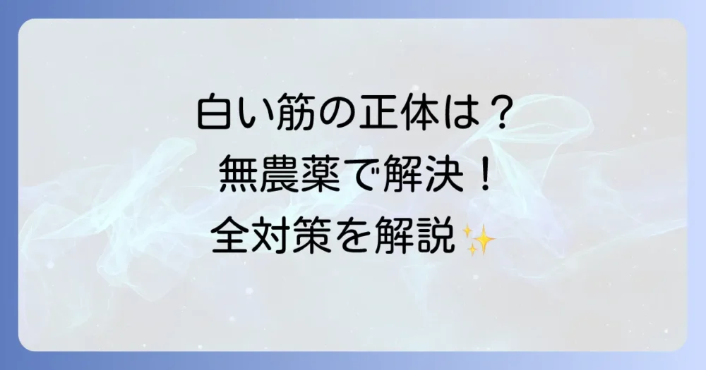 まとめ